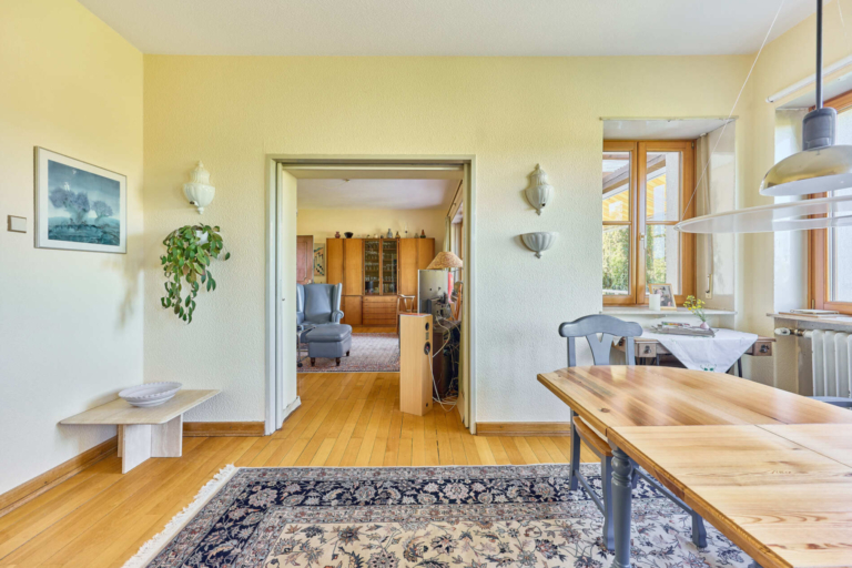Schiebetür Ess/Wohnzimmer