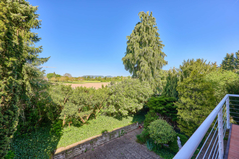 Ausblick Terrasse