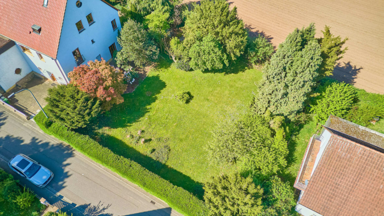 Große Gartenfläche