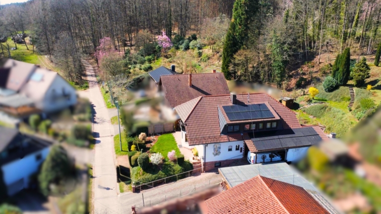 Waldrandlage