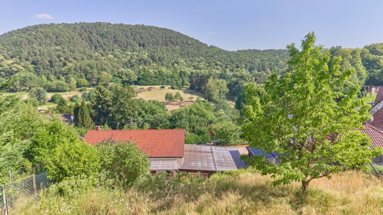 Ausblick Garten